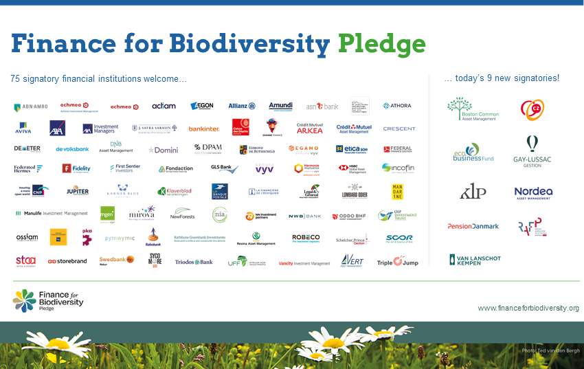 Van Lanschot Kempen signs Finance for biodiversity pledge