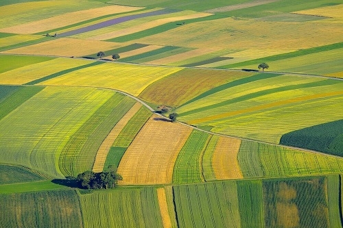 farmland image